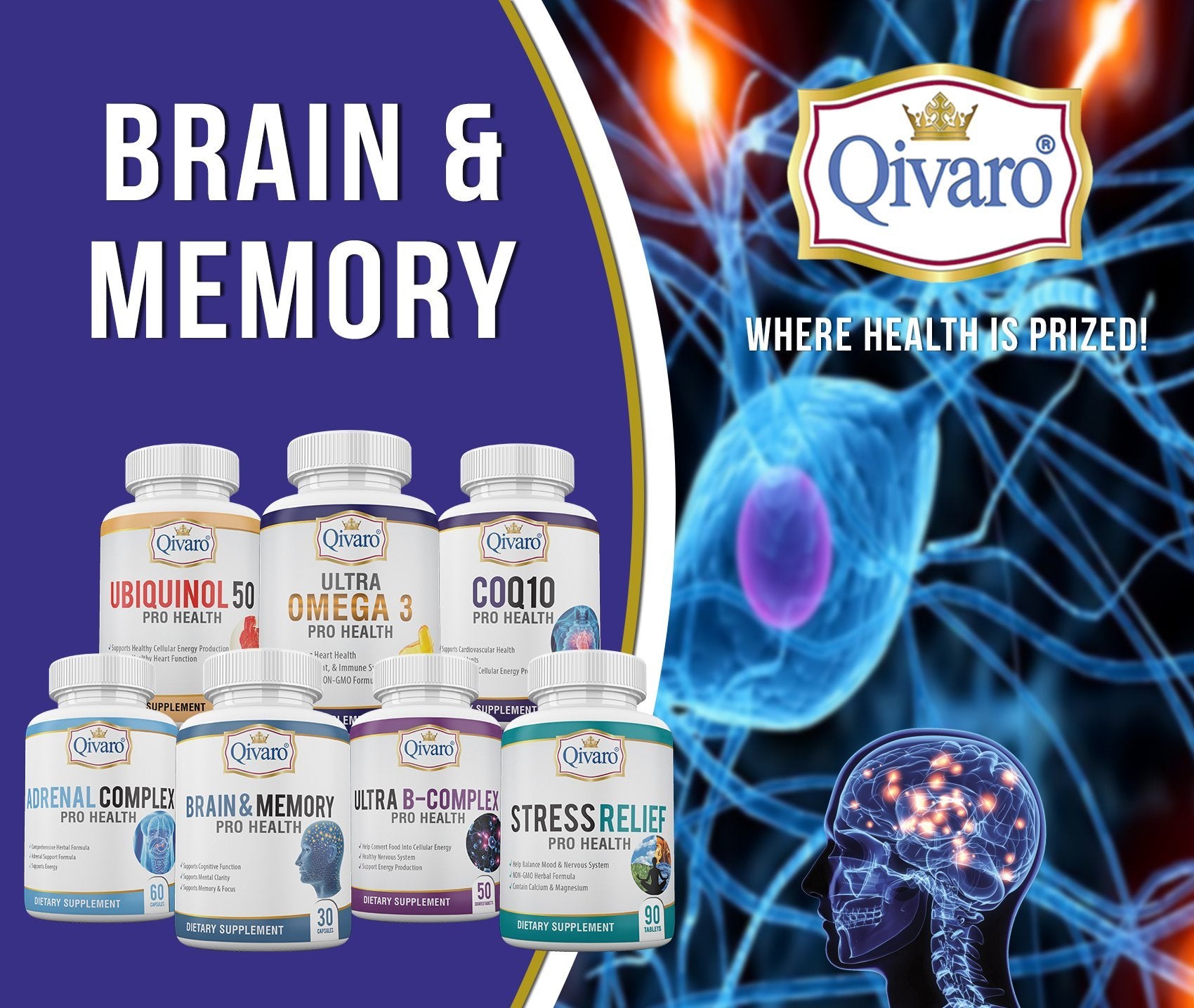 Brain & Memory | Qivaro USA